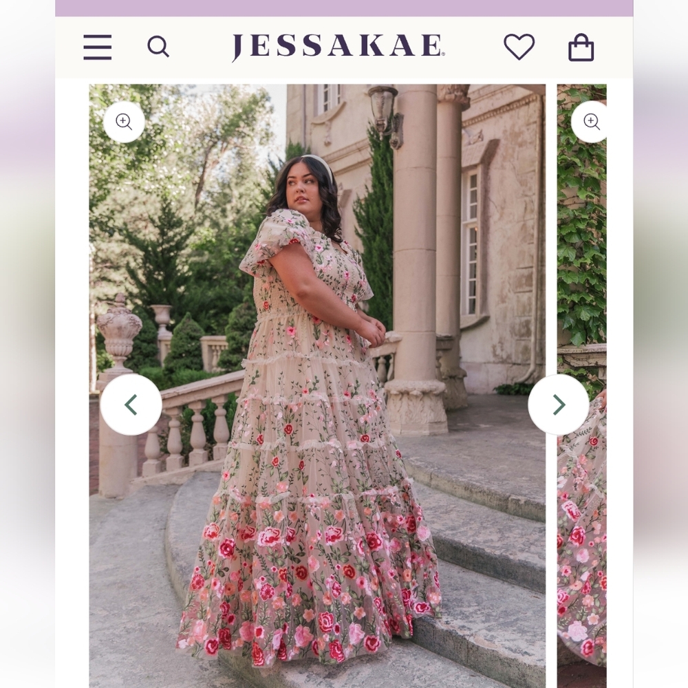 NWT 3X Jessakae gown